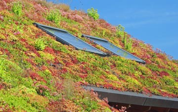 Chadwell Heath living roof systems