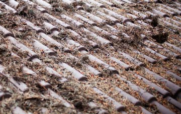 Chadwell Heath roof cleaning companies