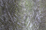 Chadwell Heath fibreglass roof work